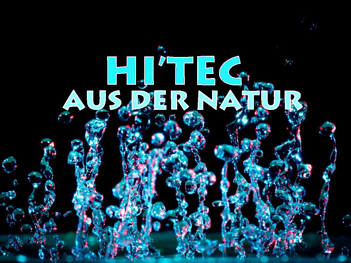 Bio-Kolloidalisierer innoviert das Lebensmittelgewerbe
